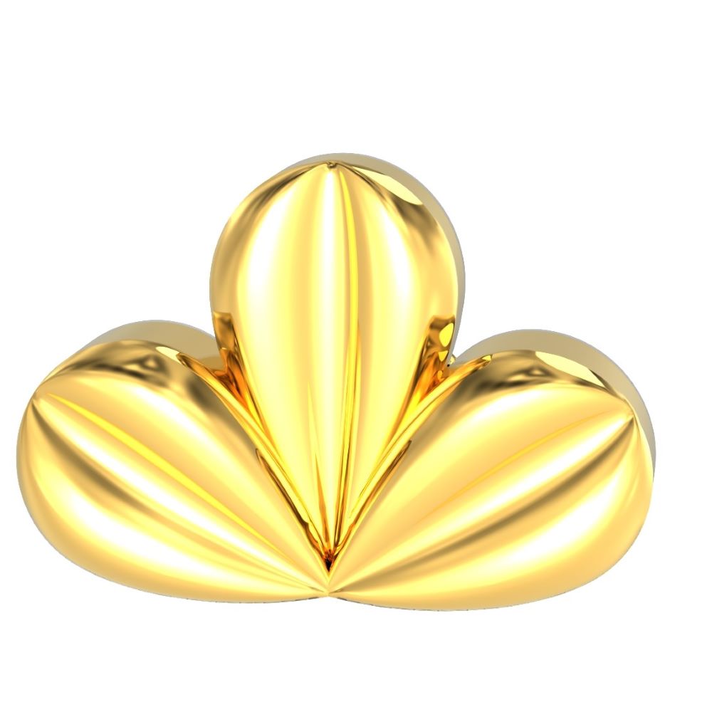 Floral-design-gold-nose-pin